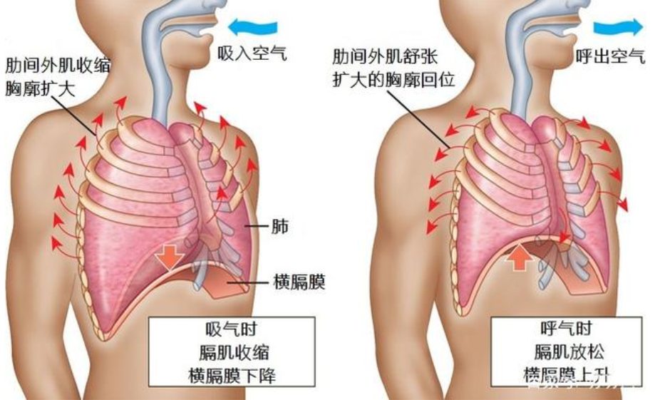 &#24320;&#20803;&#32593;&#39029;&#29256;&#95;&#24320;&#20803;&#40;&#20013;&#22269;&#41;