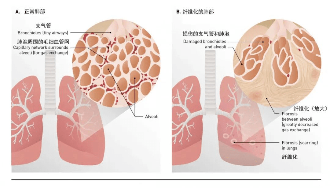 &#24320;&#20803;&#32593;&#39029;&#29256;&#95;&#24320;&#20803;&#40;&#20013;&#22269;&#41;