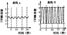 &#24320;&#20803;&#32593;&#39029;&#29256;&#95;&#24320;&#20803;&#40;&#20013;&#22269;&#41;
