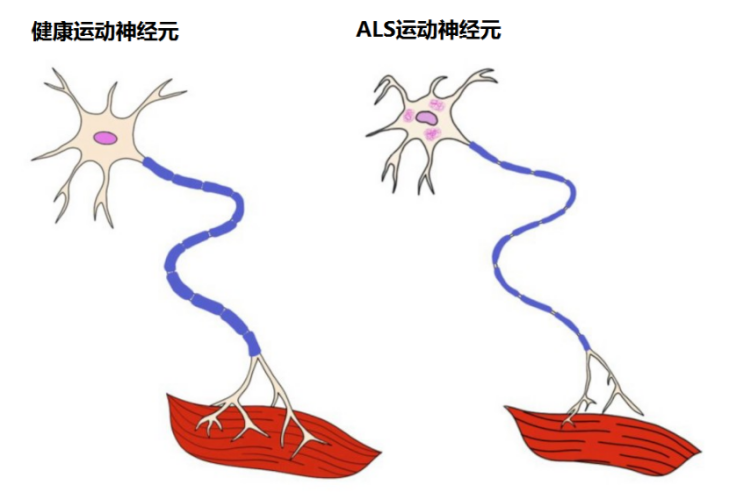 &#24320;&#20803;&#32593;&#39029;&#29256;&#95;&#24320;&#20803;&#40;&#20013;&#22269;&#41;