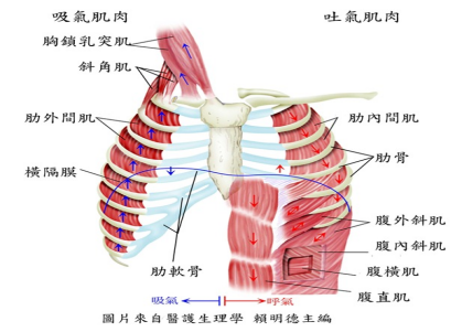 &#24320;&#20803;&#32593;&#39029;&#29256;&#95;&#24320;&#20803;&#40;&#20013;&#22269;&#41;