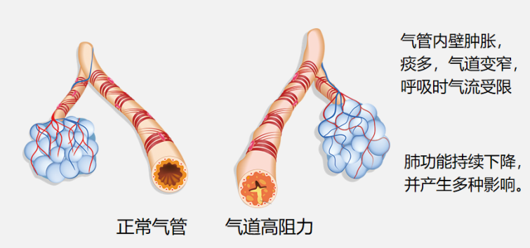 &#24320;&#20803;&#32593;&#39029;&#29256;&#95;&#24320;&#20803;&#40;&#20013;&#22269;&#41;
