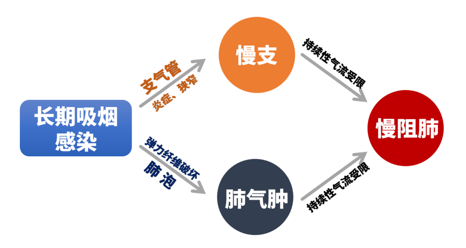 &#24320;&#20803;&#32593;&#39029;&#29256;&#95;&#24320;&#20803;&#40;&#20013;&#22269;&#41;