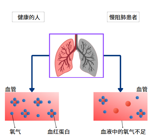 &#24320;&#20803;&#32593;&#39029;&#29256;&#95;&#24320;&#20803;&#40;&#20013;&#22269;&#41;